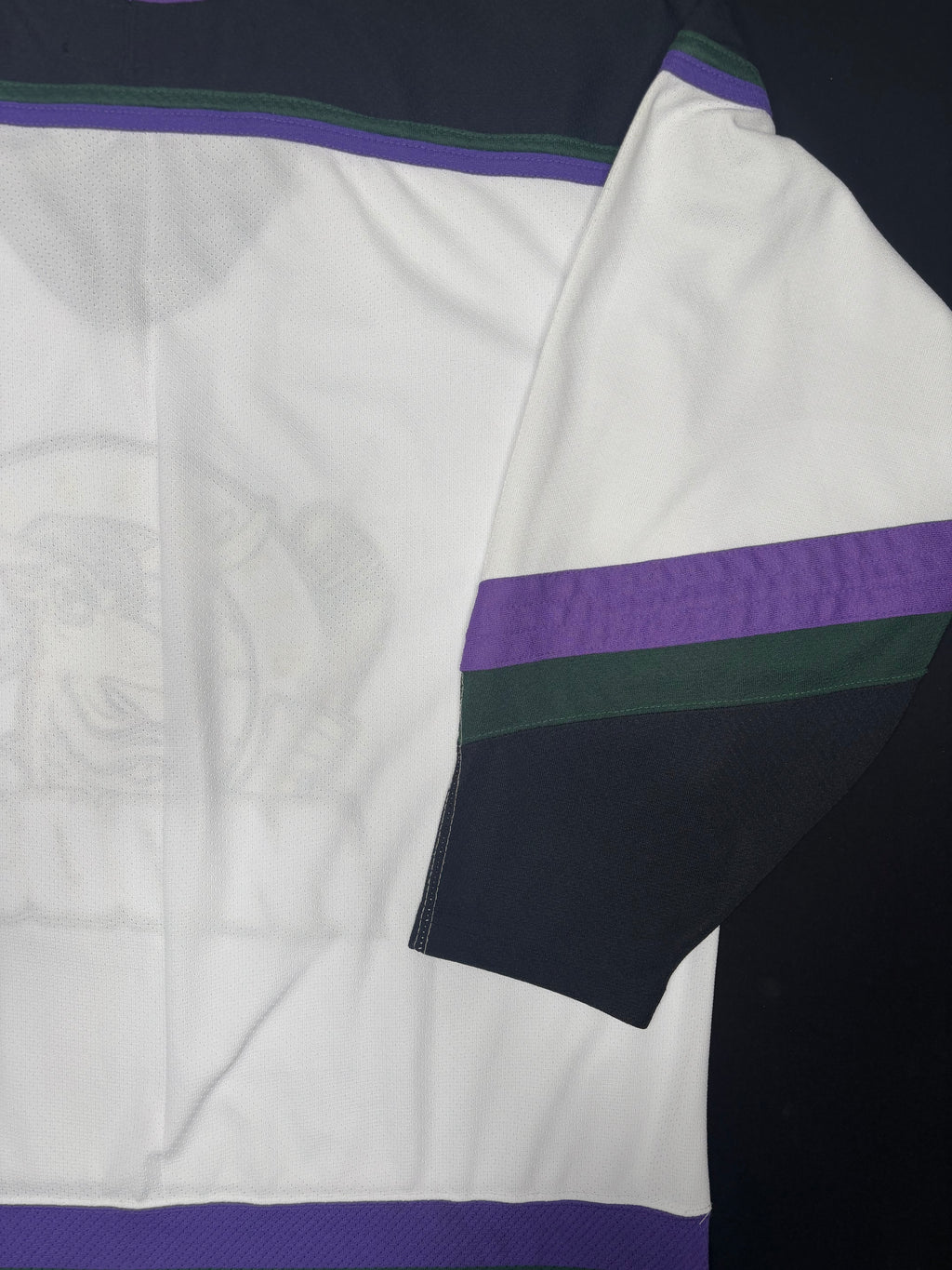 Vintage Minnesota Moose IHL Starter Hockey Jersey Size: Large