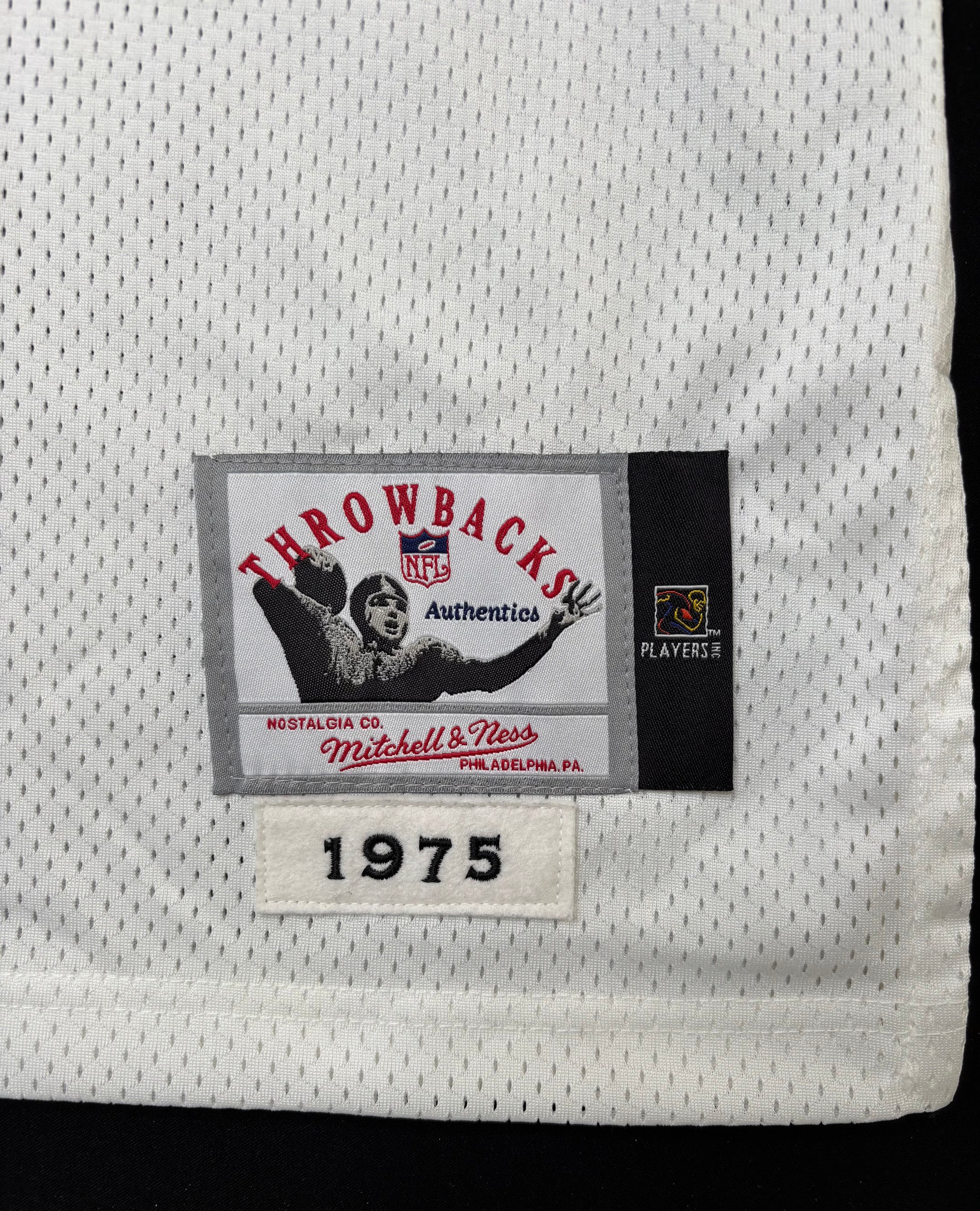 Minnesota Vikings Fran Tarkenton 75’ Mitchell & Ness Authentic Football Jersey Size: 4XL