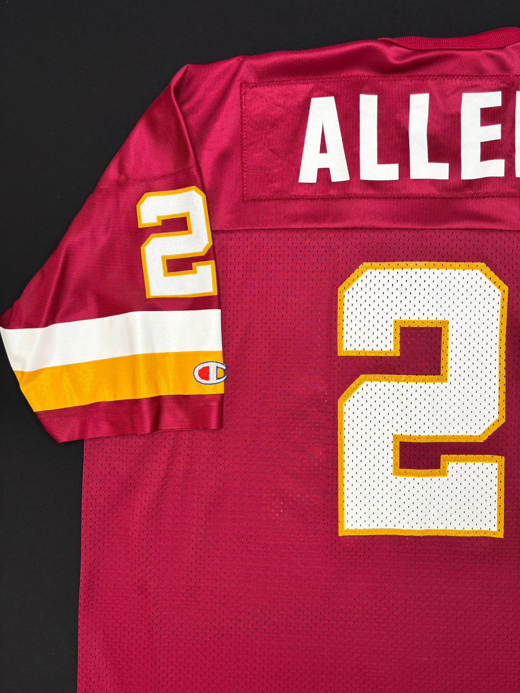 Washington Redskins Terry Allen Champion Football Jersey Size: 52
