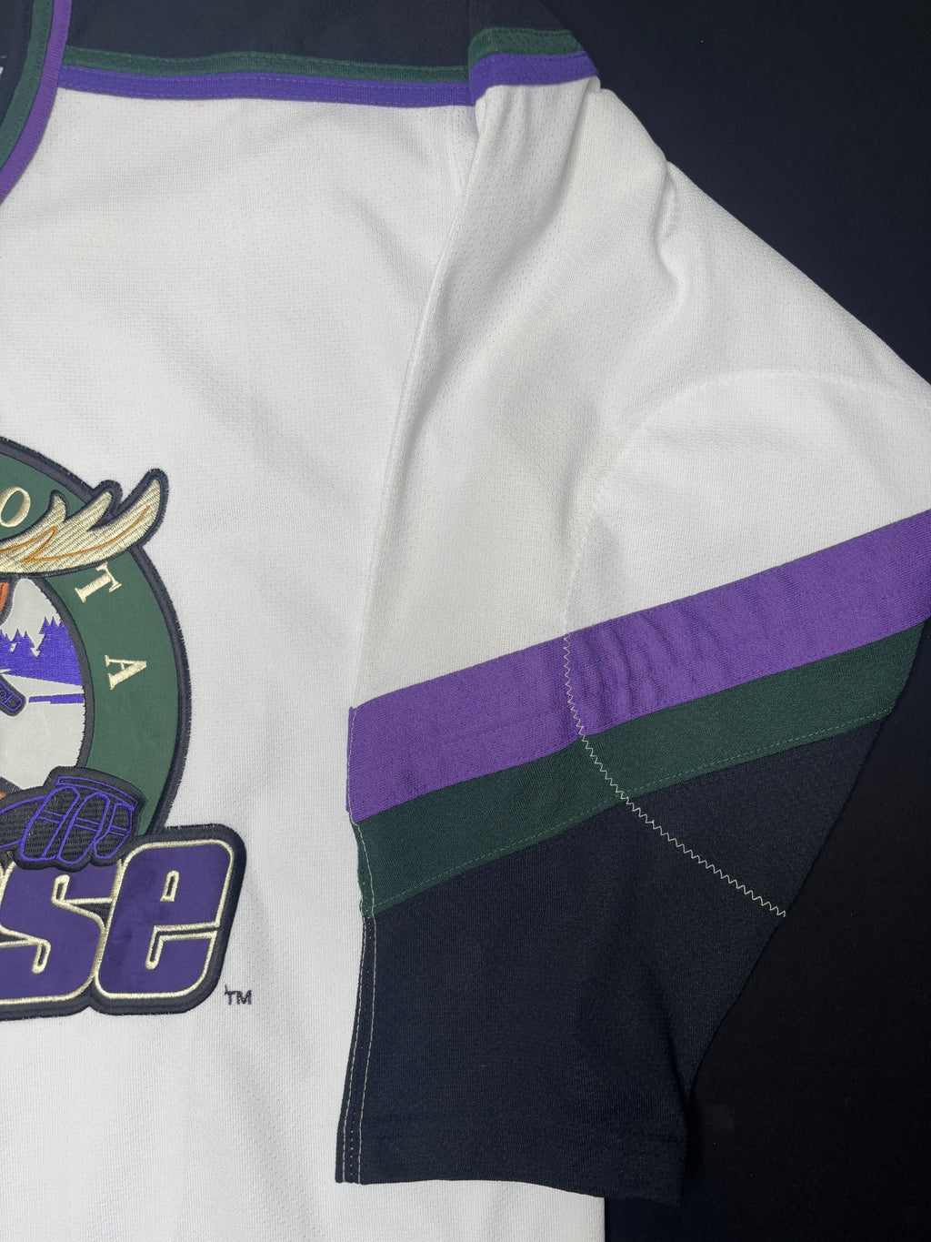 Vintage Minnesota Moose IHL Starter Hockey Jersey Size: Large
