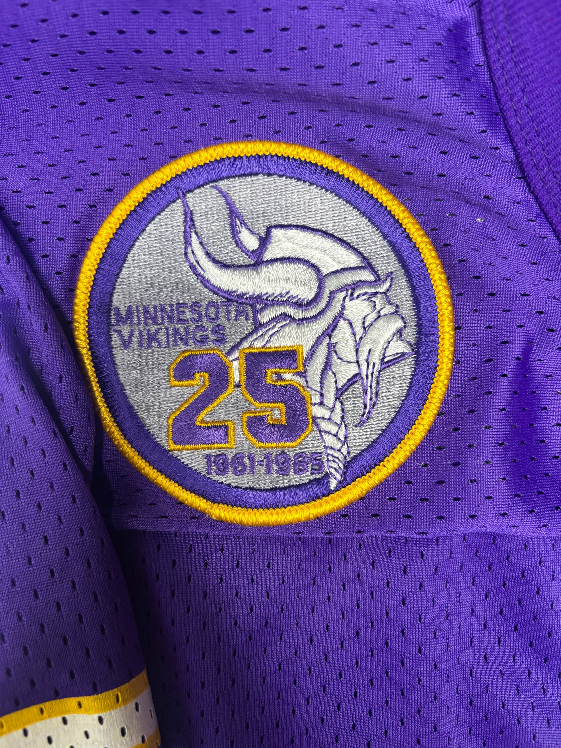 Minnesota Vikings Joey Browner Champion Football Jersey w/ 25 Year Anniversary Patch Size: YXL