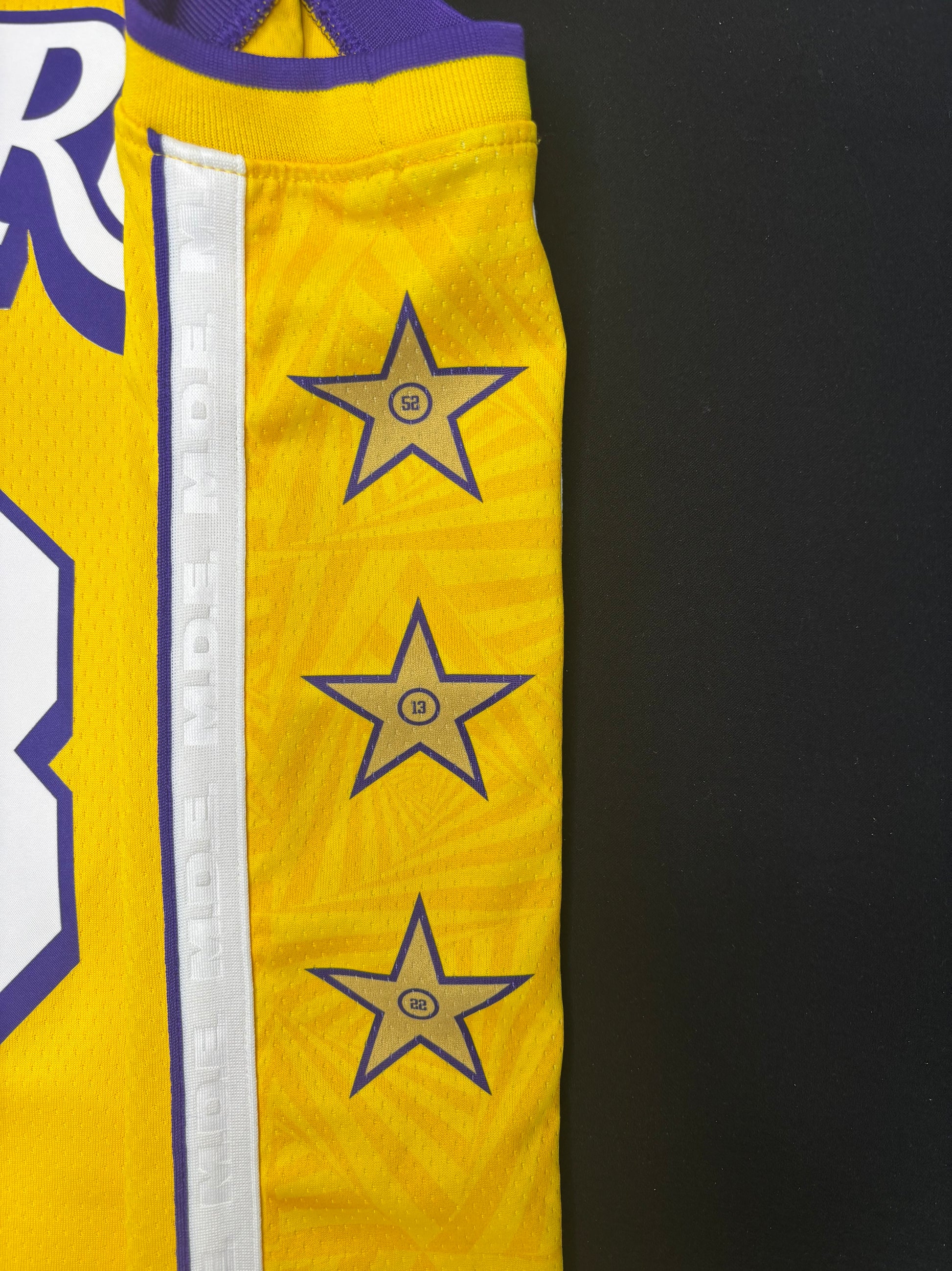 Los Angeles Lakers LeBron James Lore Series Nike Swingman Basketball Jersey Size: 44
