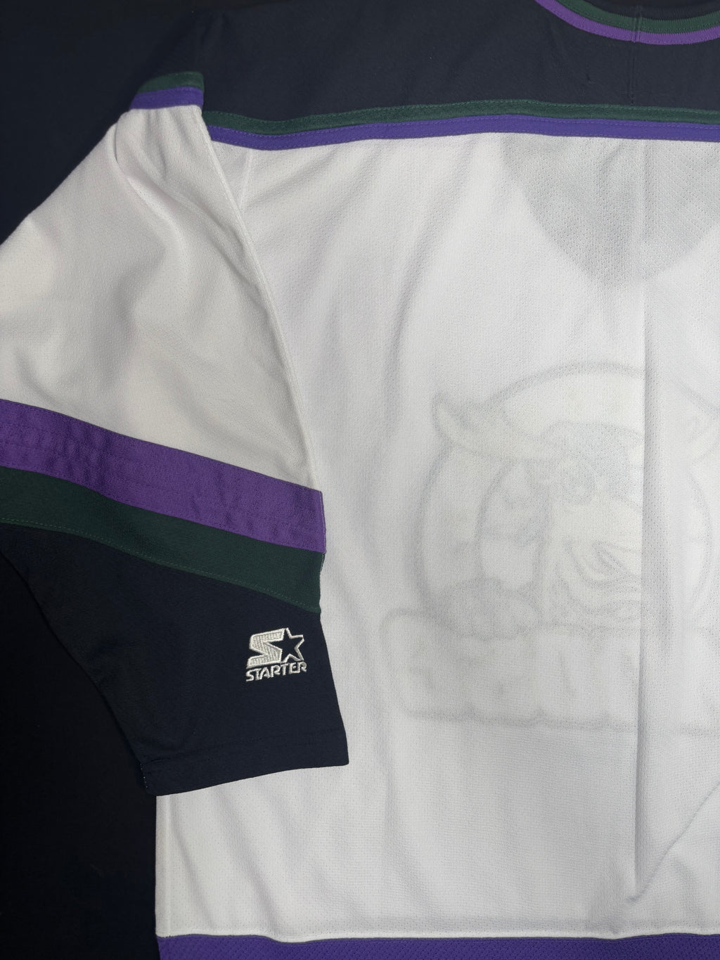 Vintage Minnesota Moose IHL Starter Hockey Jersey Size: Large