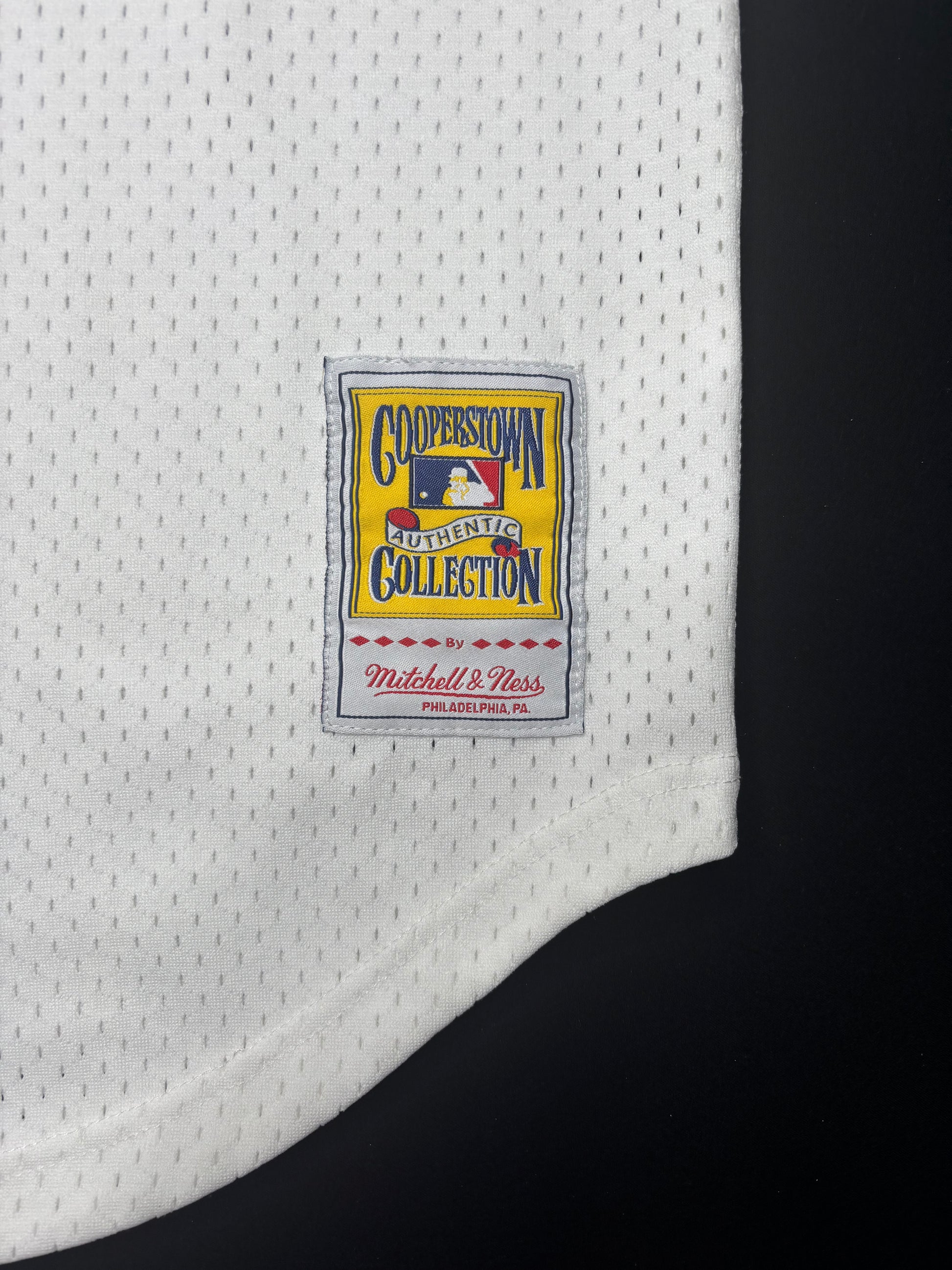 Chicago White Sox Carlton Fisk Mitchell and Ness 1981 Mesh BP Baseball Jersey Size: Medium