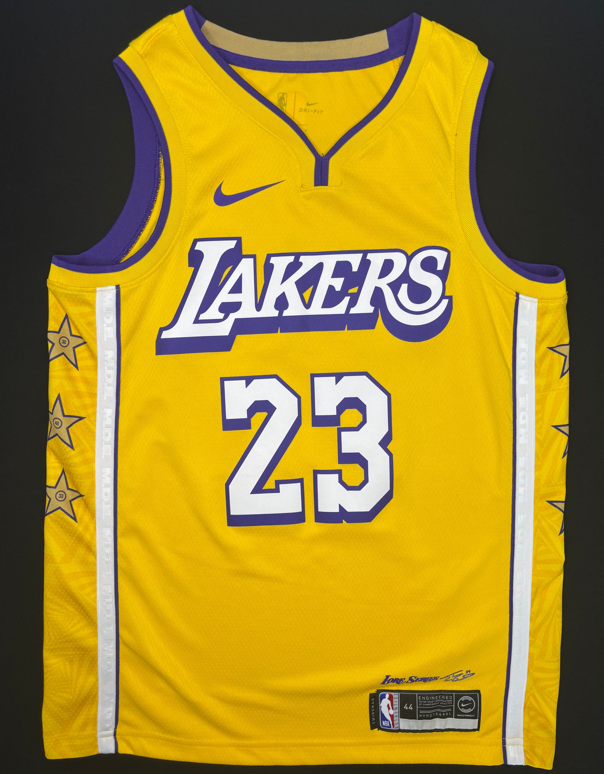 Los Angeles Lakers LeBron James Lore Series Nike Swingman Basketball Jersey Size: 44